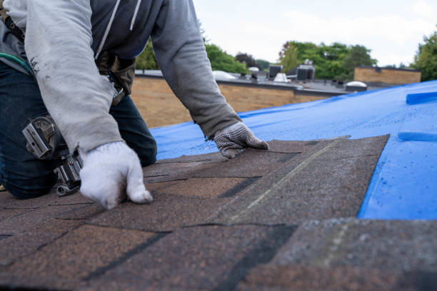 Roof Gutter Cleaning in Benavides, TX